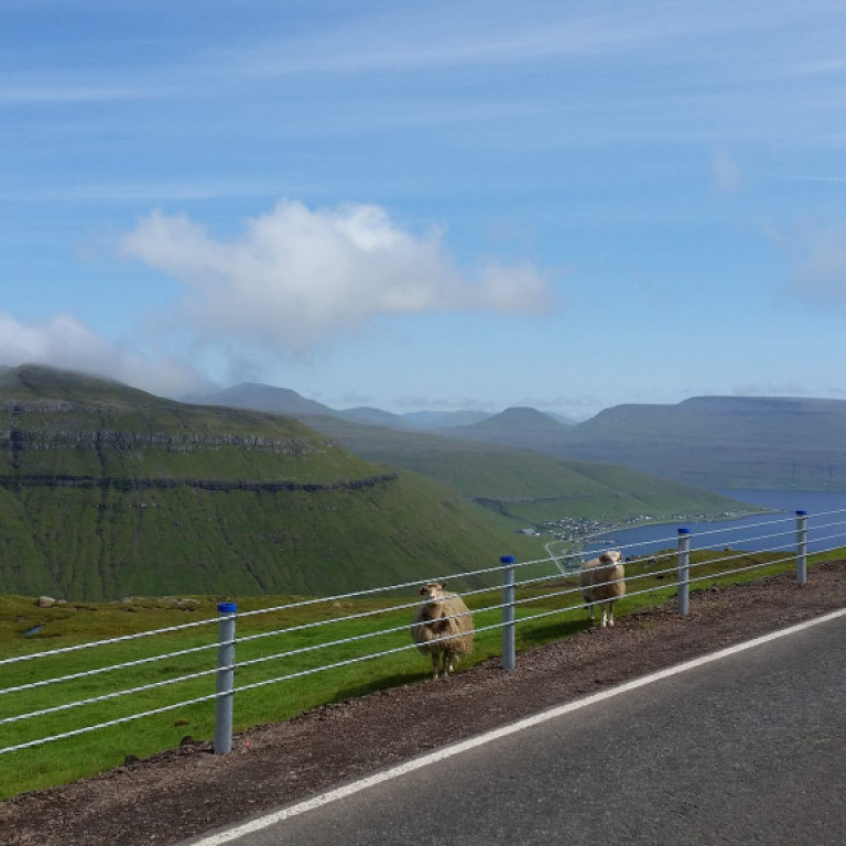 20157377_1071441892956161_1224489390804469049_o