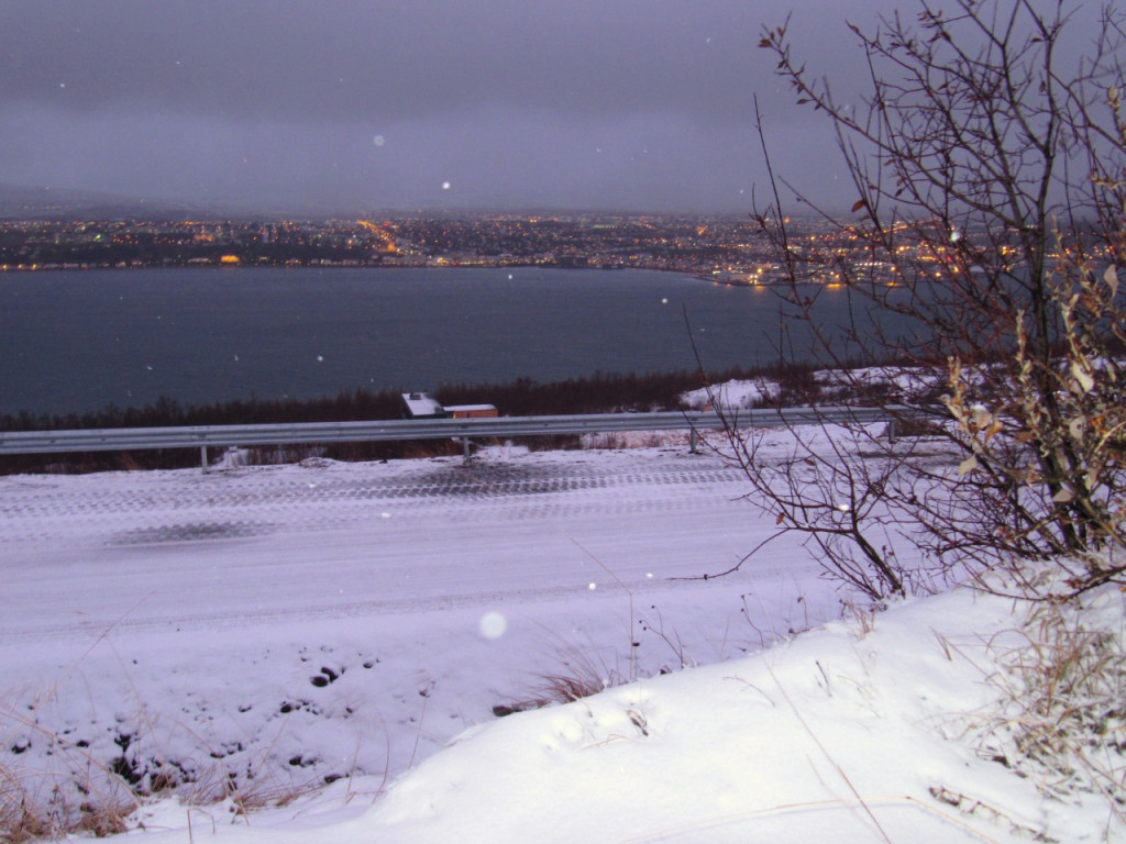 Veigastaðavegur í nóv. 2009