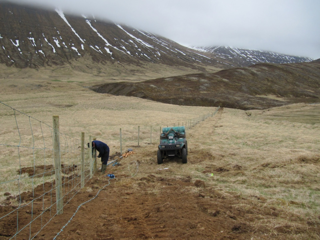 Girðingarvinna í Svarfaðardal í maí 2010