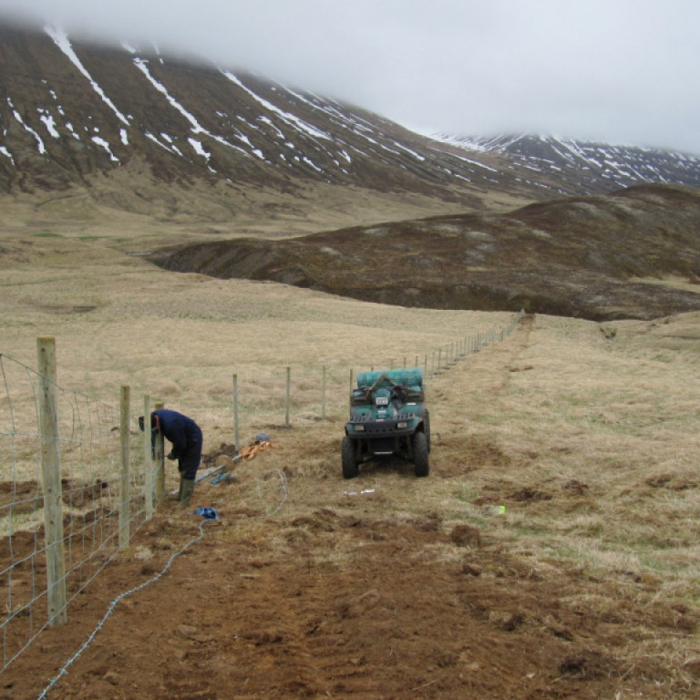 Girðingarvinna í Svarfaðardal í maí 2010