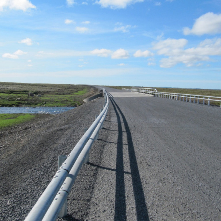 Röravegrið við brú á Hófaskarði ágúst 2010