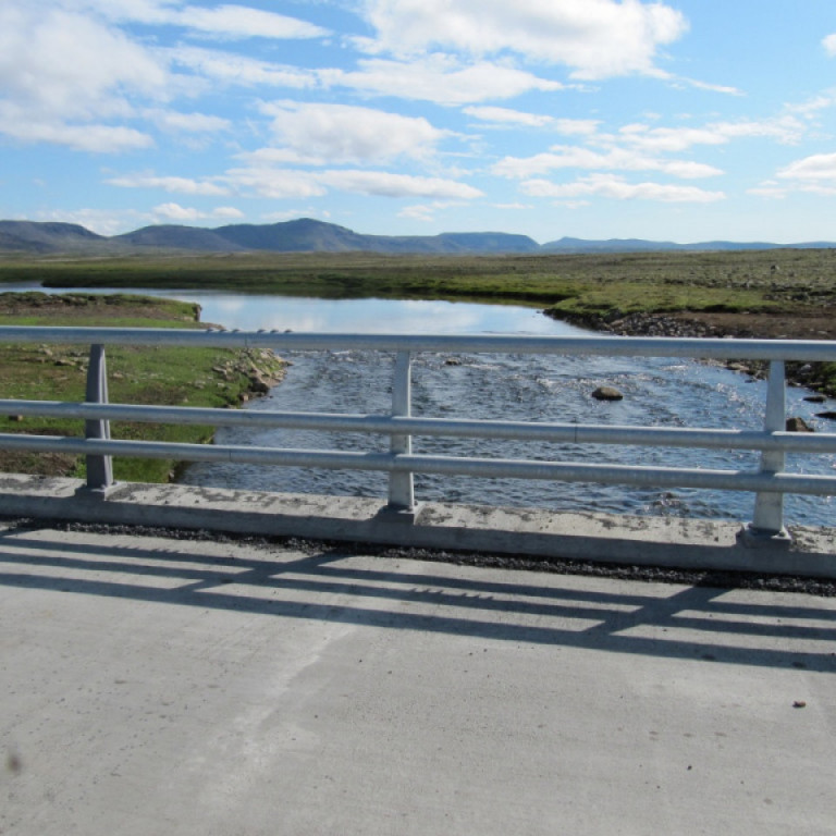 Röravegrið við brú á Hófaskarði ágúst 2010